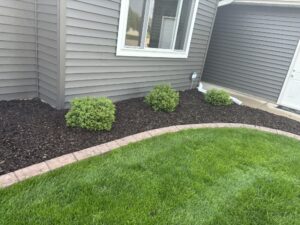 the Lawn people land scaping