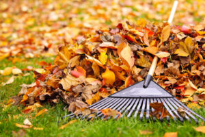 Fall clean up