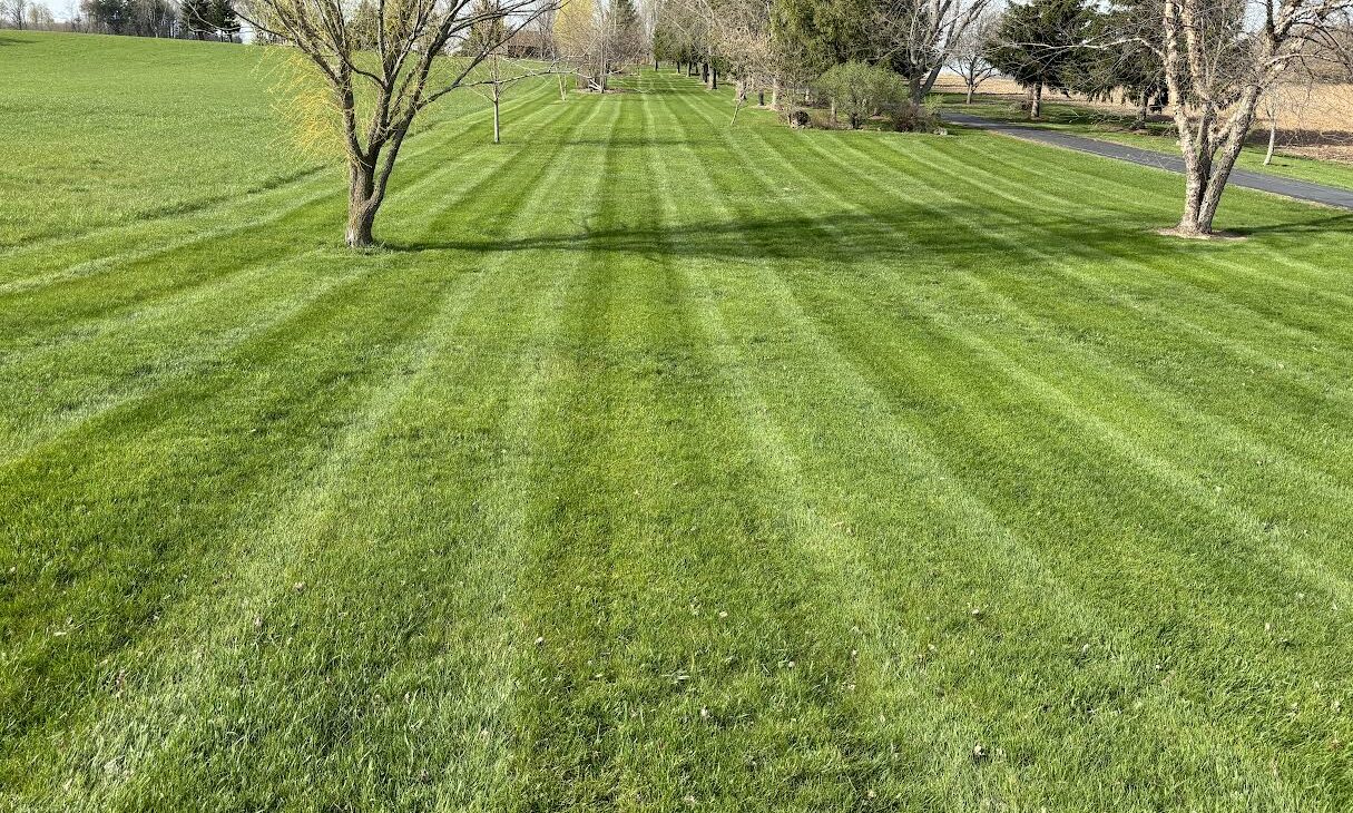 Your lawn and landscape
the way that it should